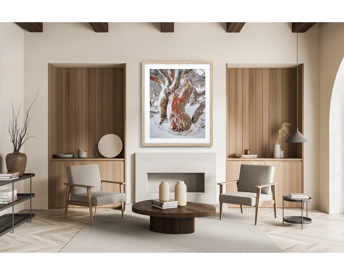 Winter Embrace. Old twisted snow gum with snow, wall art print in a timber frame hung in a chalet living room. 