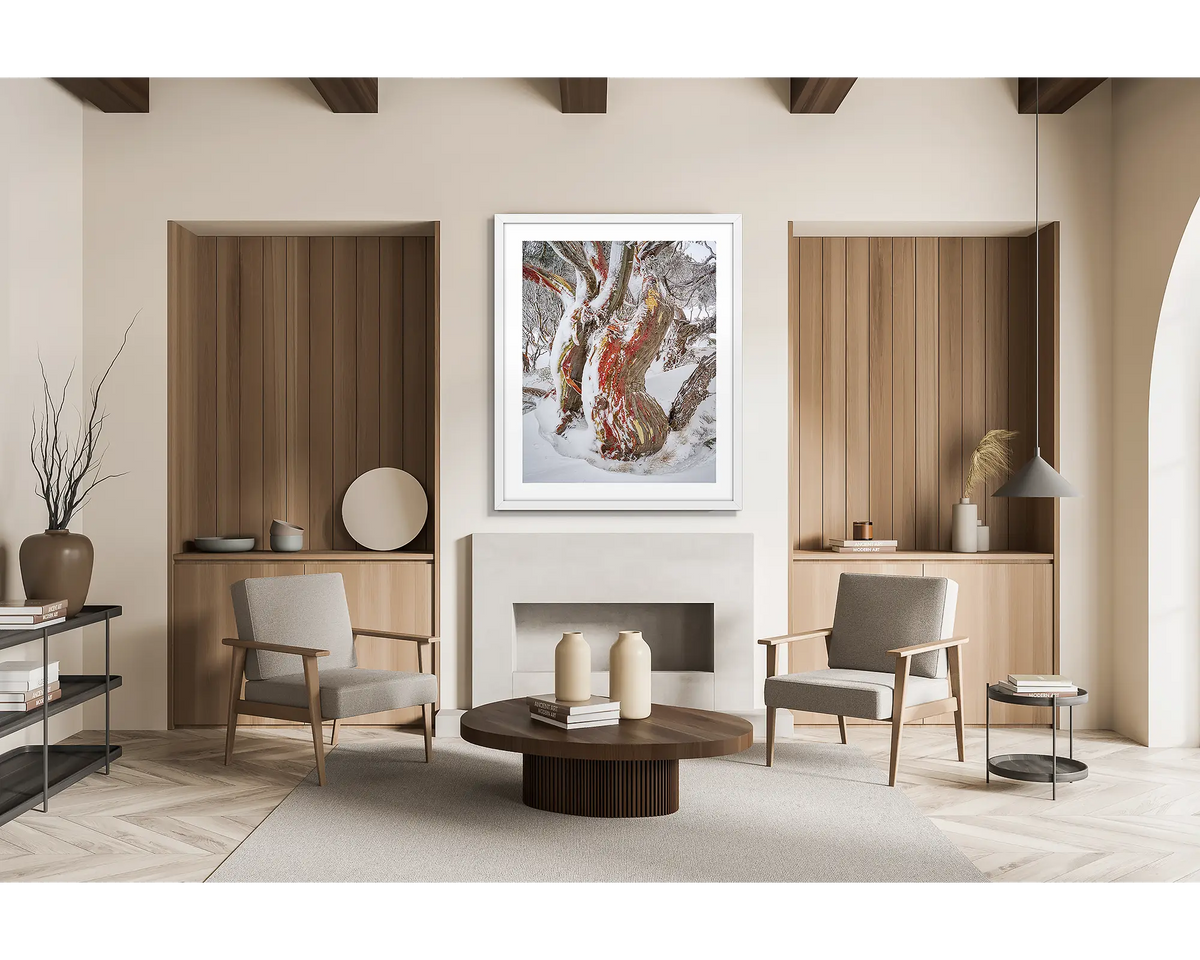 Winter Embrace. Old twisted snow gum with snow, wall art print in a white frame hung in a chalet living room. 