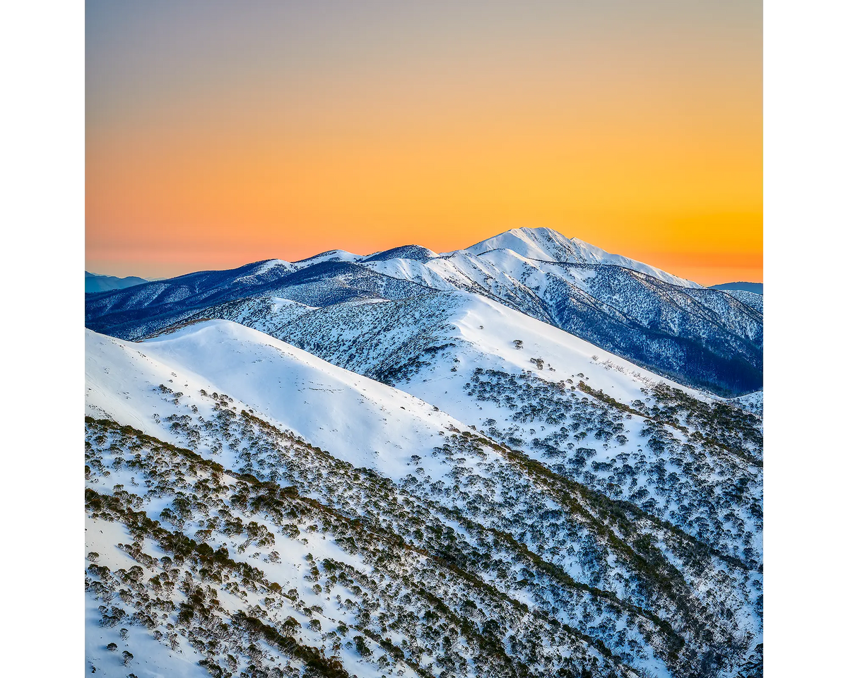Winter Glow - Orange sunrise over summit of Mount Feathertop in winter.