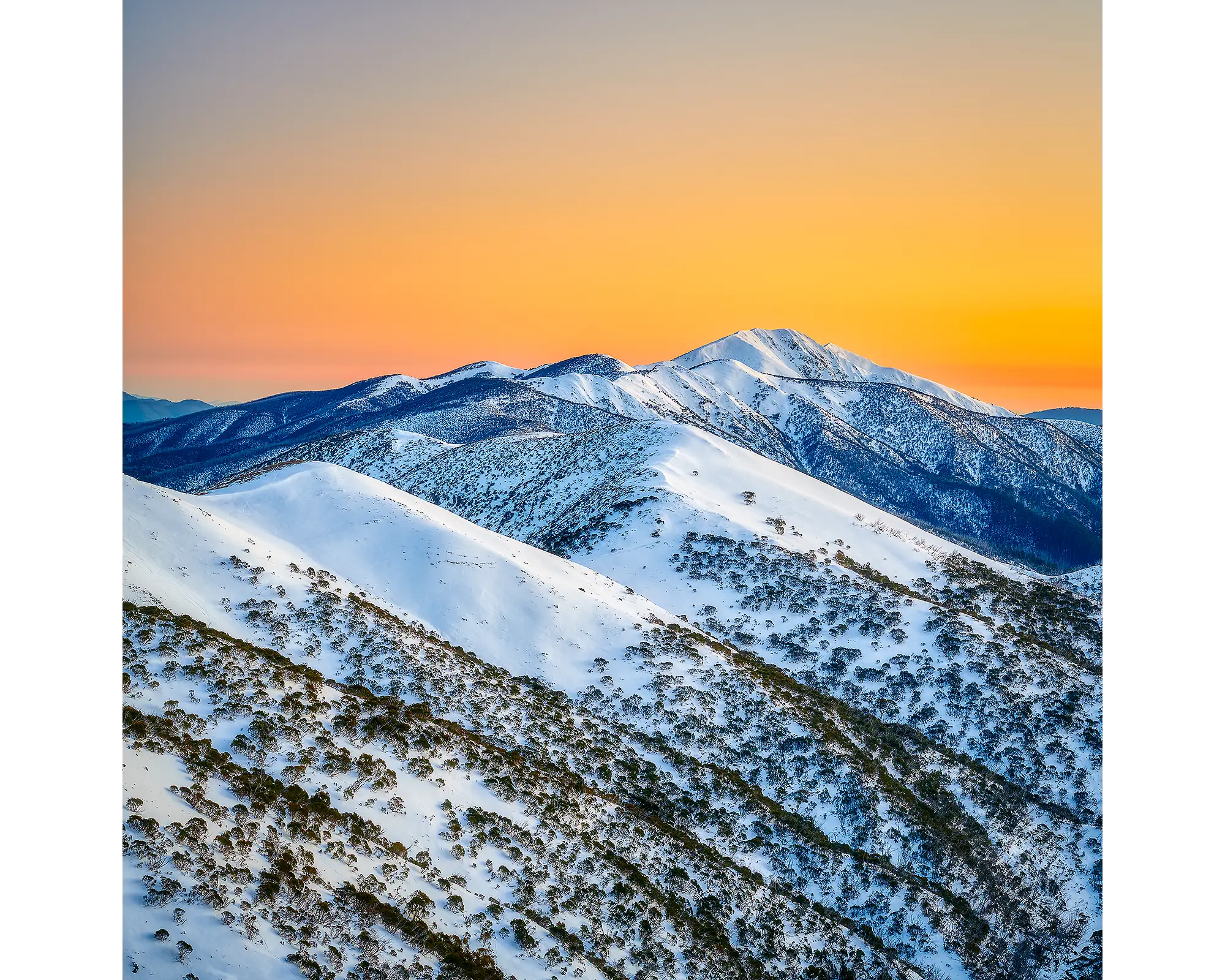 Winter Glow - Orange sunrise over summit of Mount Feathertop in winter.