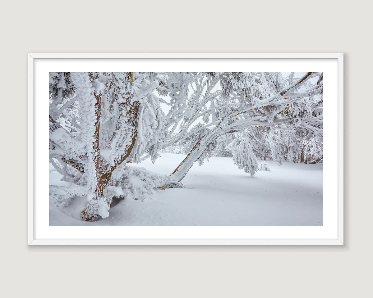 Framed photographic wall art of snow gums covered in ice and snow falling on a walking track in an Australian alpine region.