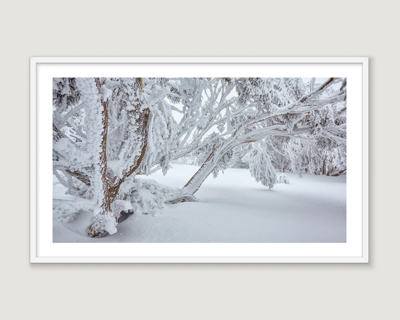 Framed photographic wall art of snow gums covered in ice and snow falling on a walking track in an Australian alpine region.