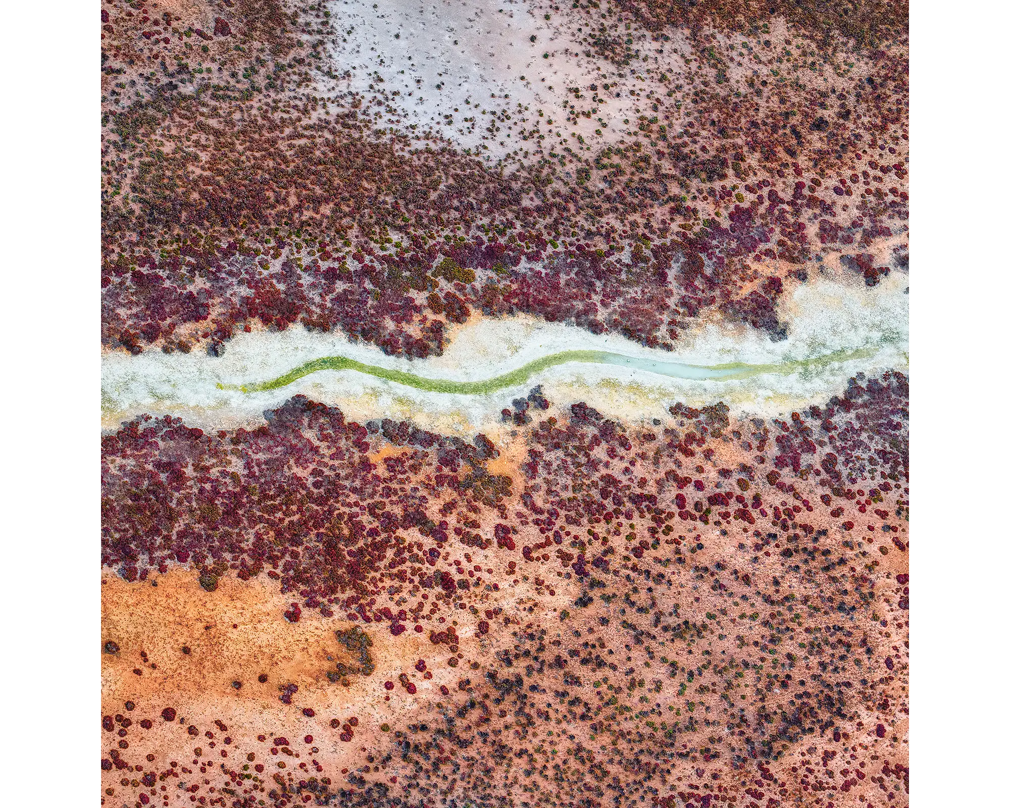 Aerial view of Roebuck Plains, The Kimberley, Western Australia.