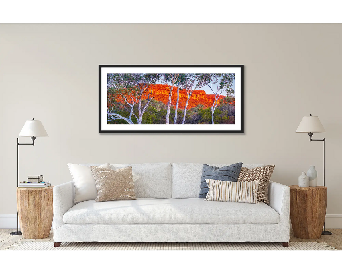 Young and Old. Wall art print of a gum tree in the Blue Mountains, framed in a black frame and hung above a couch. 