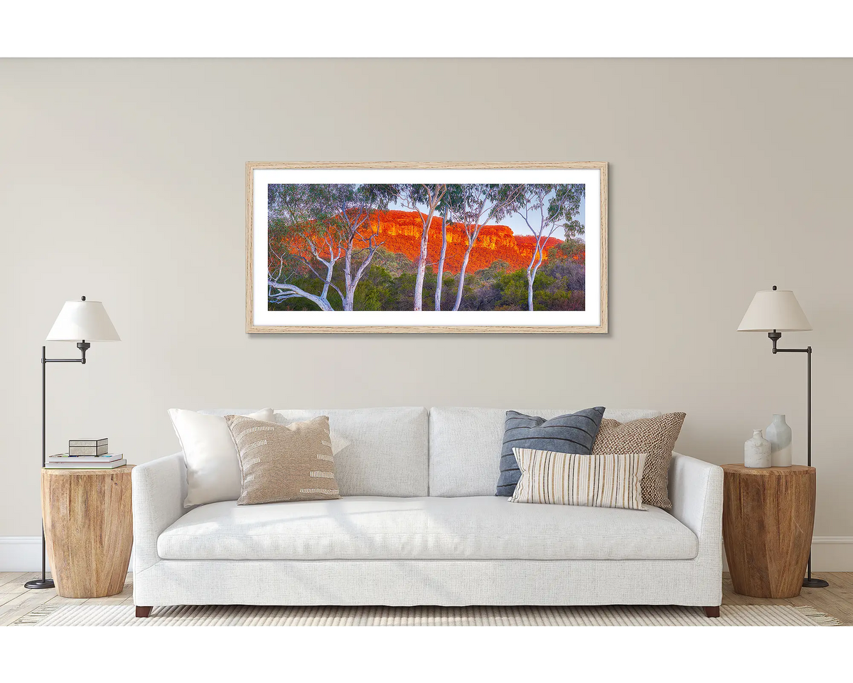 Young and Old. Wall art print of a gum tree in the Blue Mountains, framed in a timber frame and hung above a couch. 