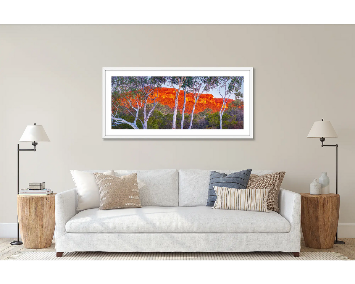 Young and Old. Wall art print of a gum tree in the Blue Mountains, framed in a white frame and hung above a couch. 