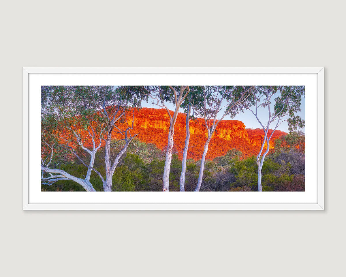 Framed artwork of a red rock formation in the Blue Mountains with white trees on a grey wall.