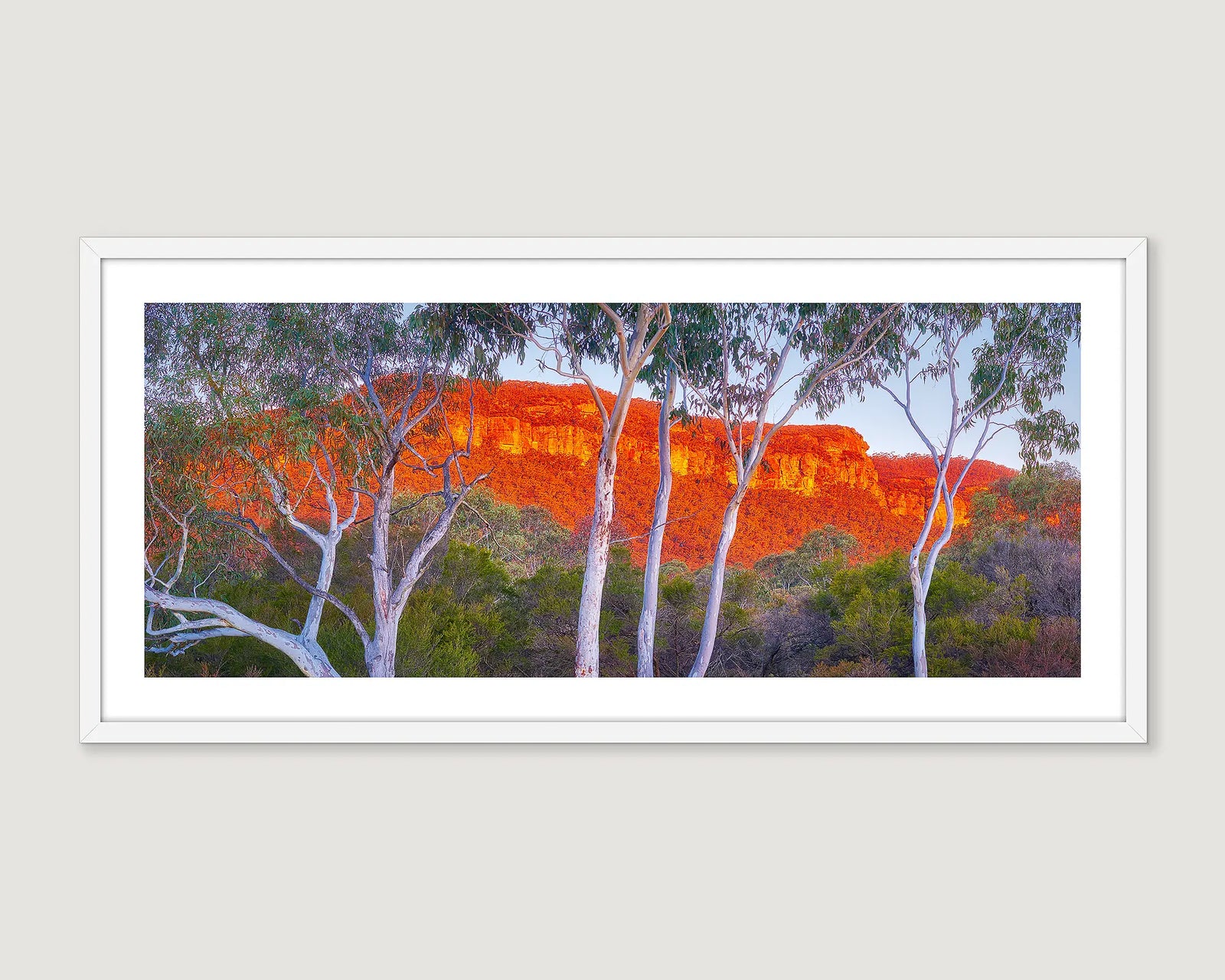 Framed artwork of a red rock formation in the Blue Mountains with white trees on a grey wall.