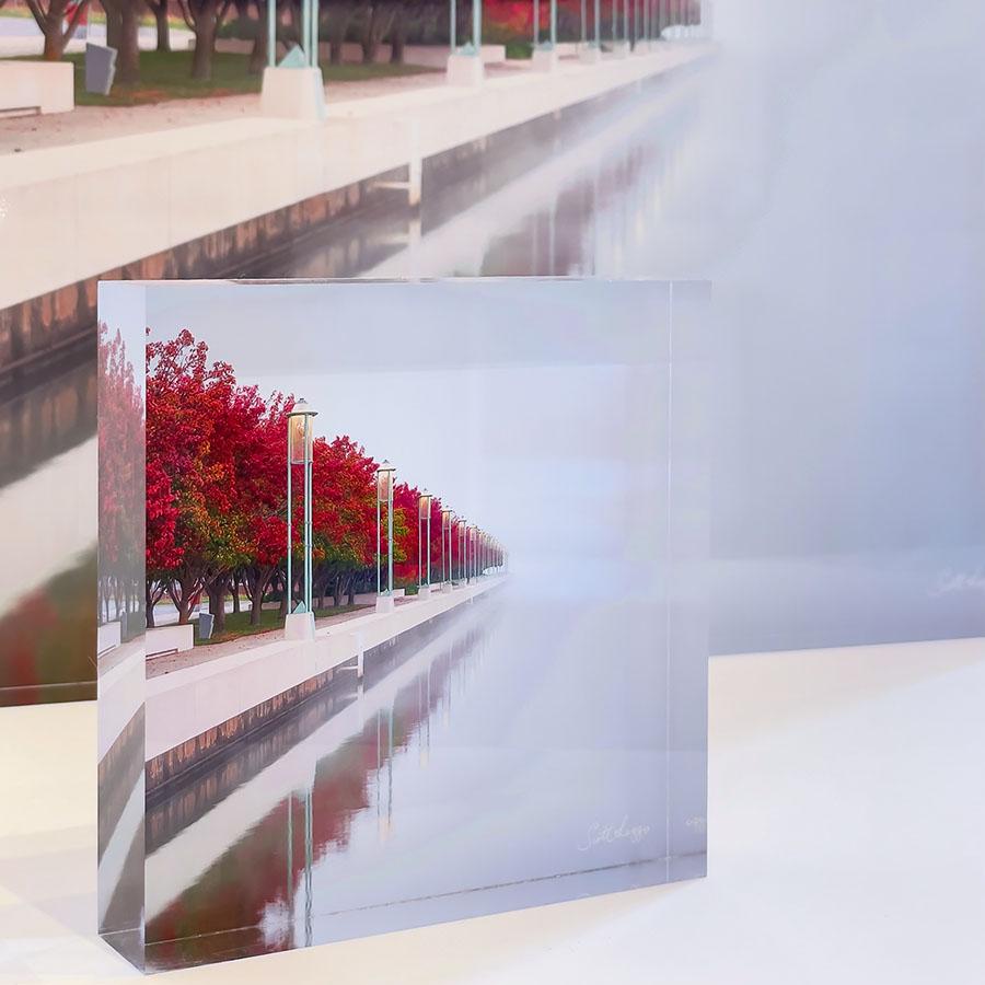 Red Serenity - Acrylic Desk Block - Red Row Of Trees, Lake Burley Griffin, Canberra