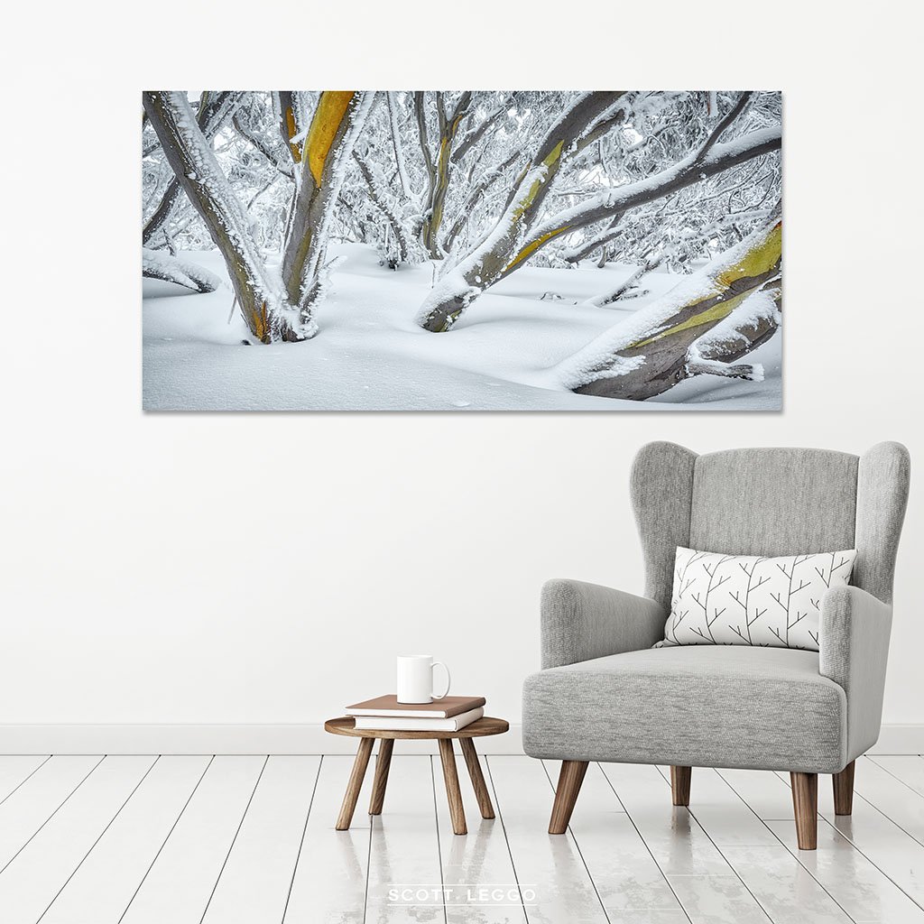 After The Storm - Snow Gums wall art in room example