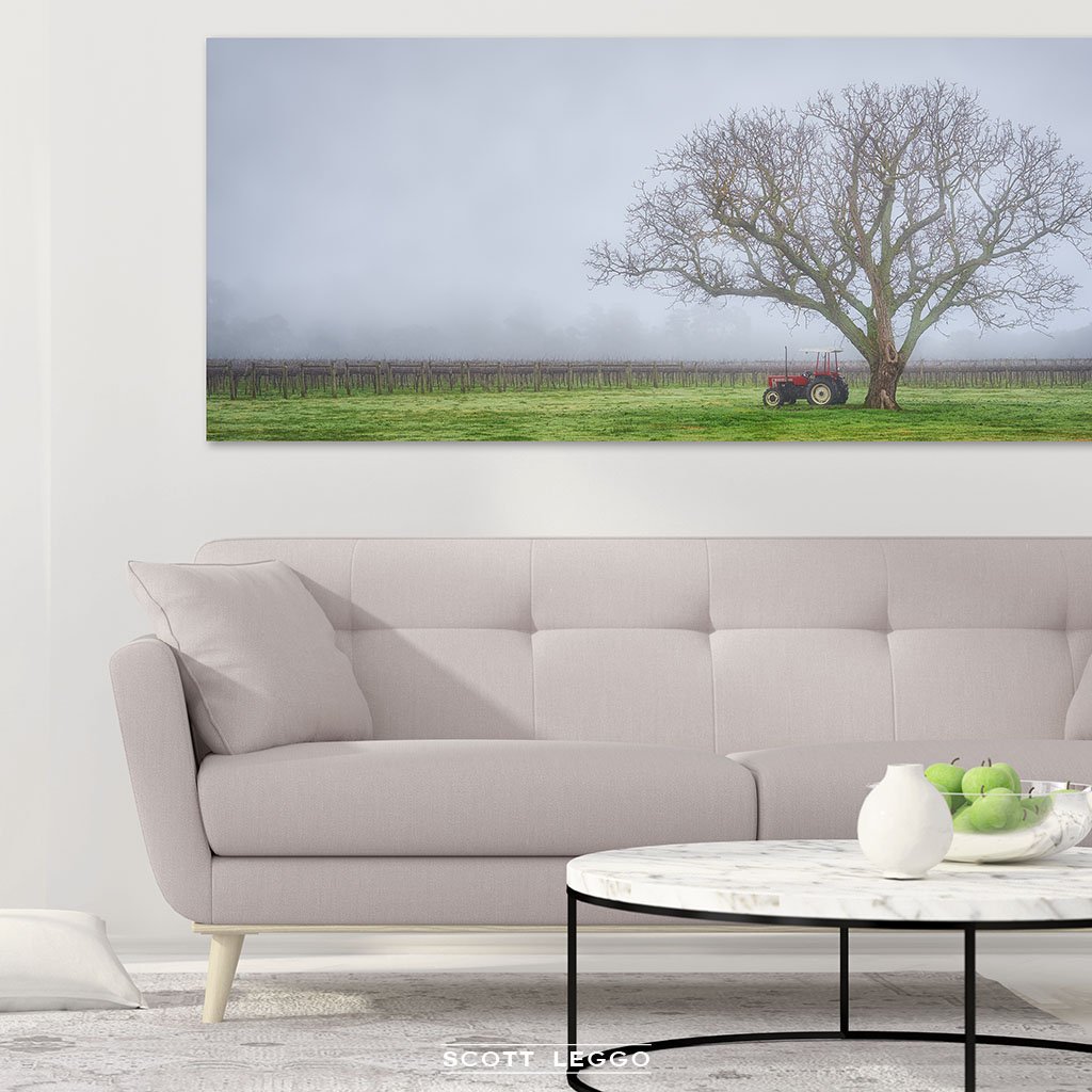 Amongst The Vines - Canvas wall art preview
