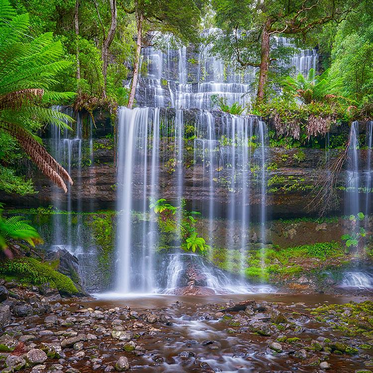 Layers - Russell Falls, Tasmania