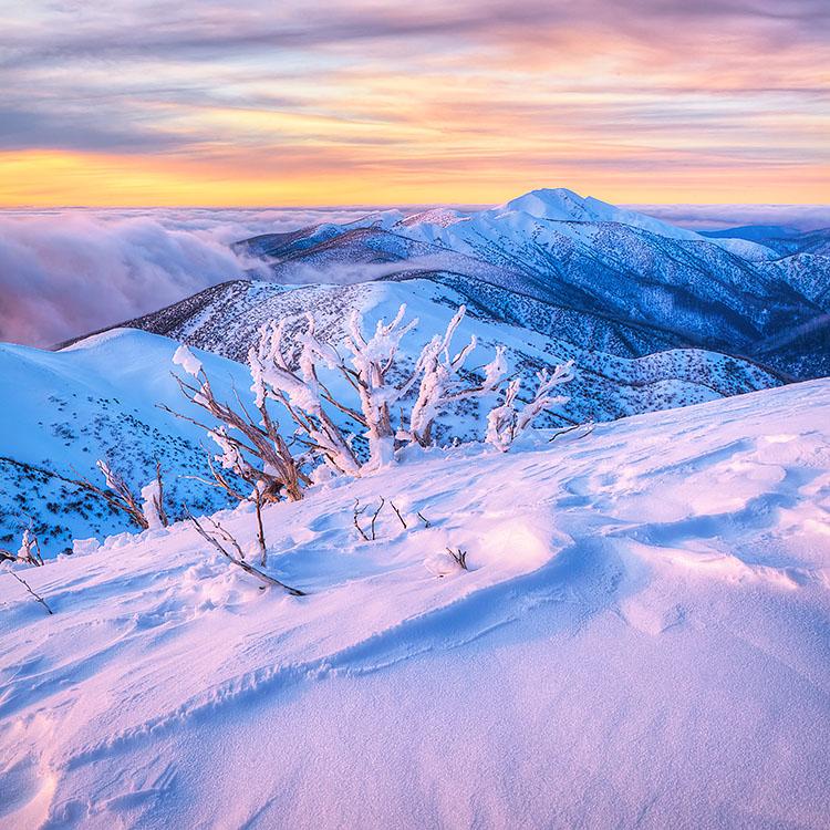 Memories Of Winter - photograph from Mount Hotham