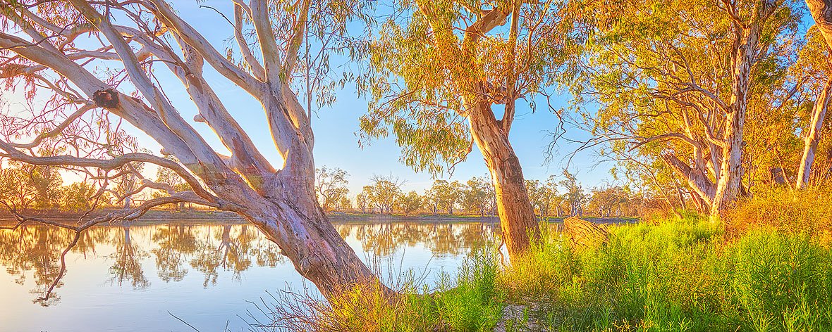 Sunrise over the Murray River, South Australia