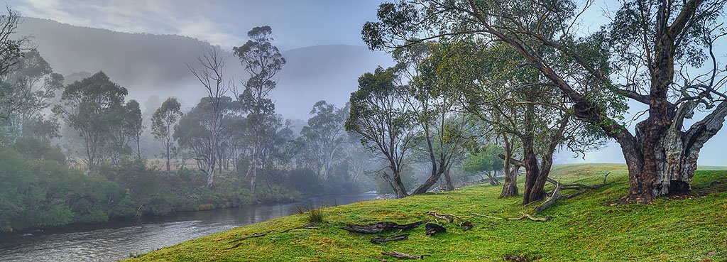 Morning fog, upper Murray River, Victoria