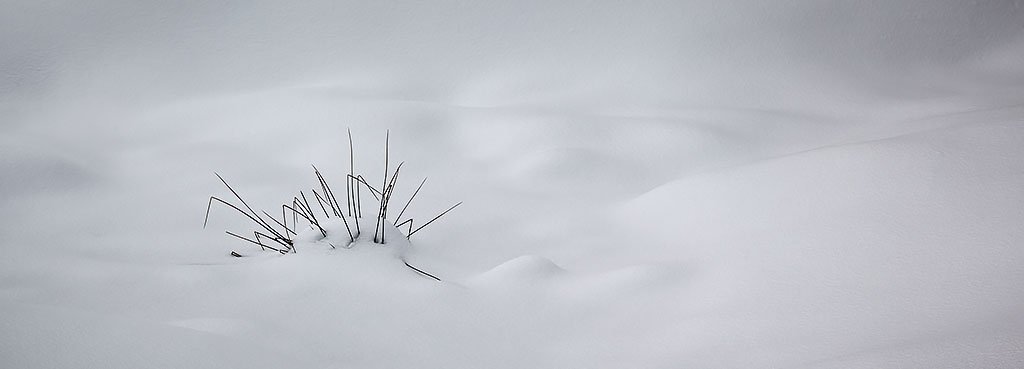 Shapes Of Winter, Alpine National Park, Victoria