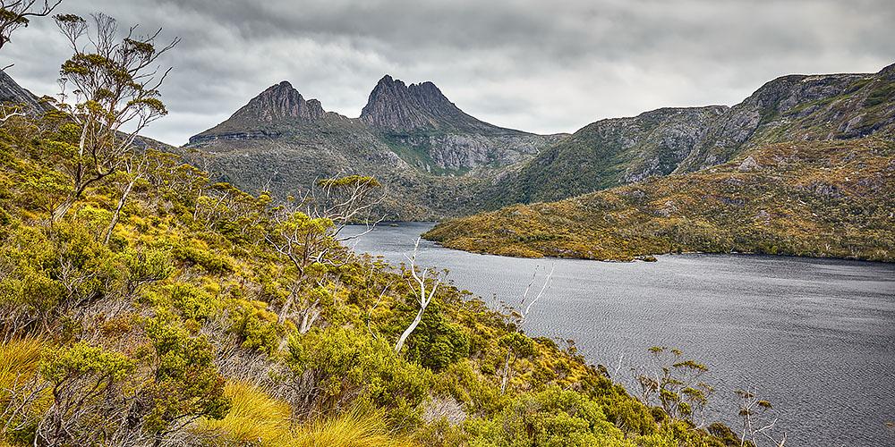 Stormy Wilderness - Cradle Mountain Tasmania