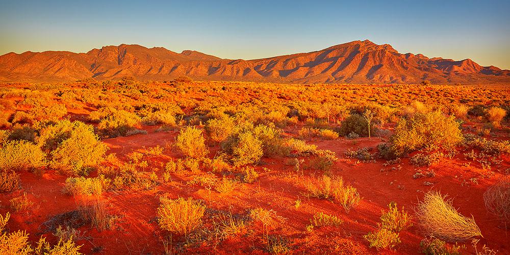 Wilpena Red - Flinders Ranges, South Australia