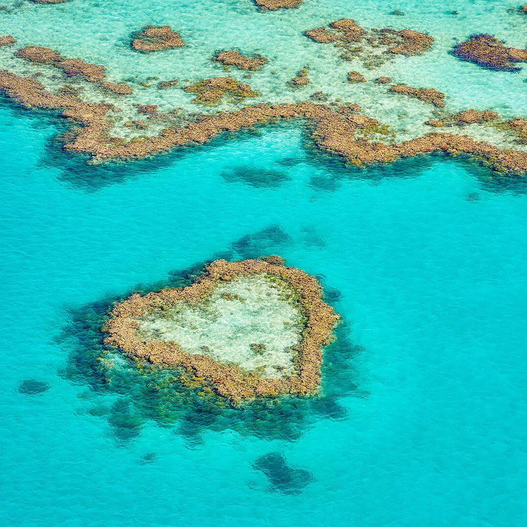 The Heart - Heart Reef, Great Barrier Reef, Queensland, Australia
